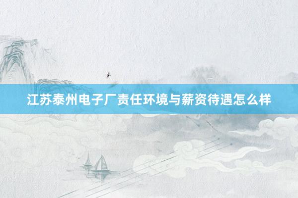 江苏泰州电子厂责任环境与薪资待遇怎么样