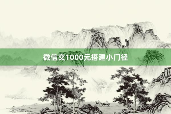 微信交1000元搭建小门径